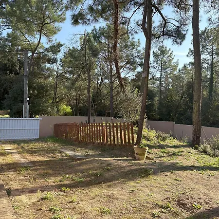 Tatil Evi Maison Aux Portes De La Foret Avec Piscine Privee, Wi-fi Et Animaux Admis - Fr-1-323-558 *